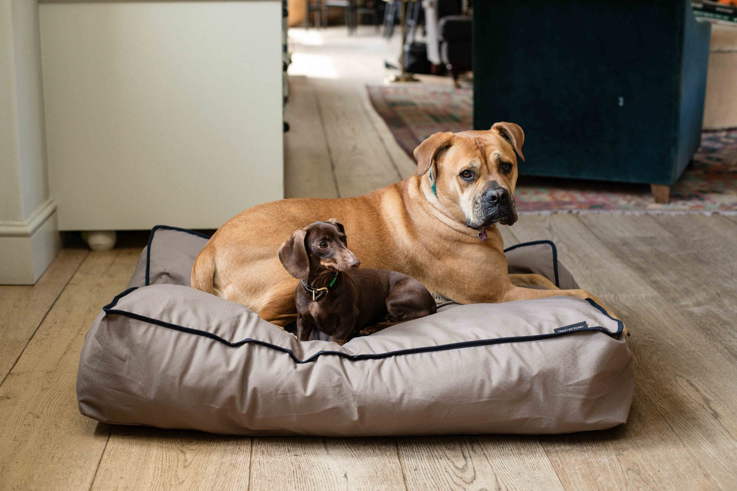 Billy Dog Bed