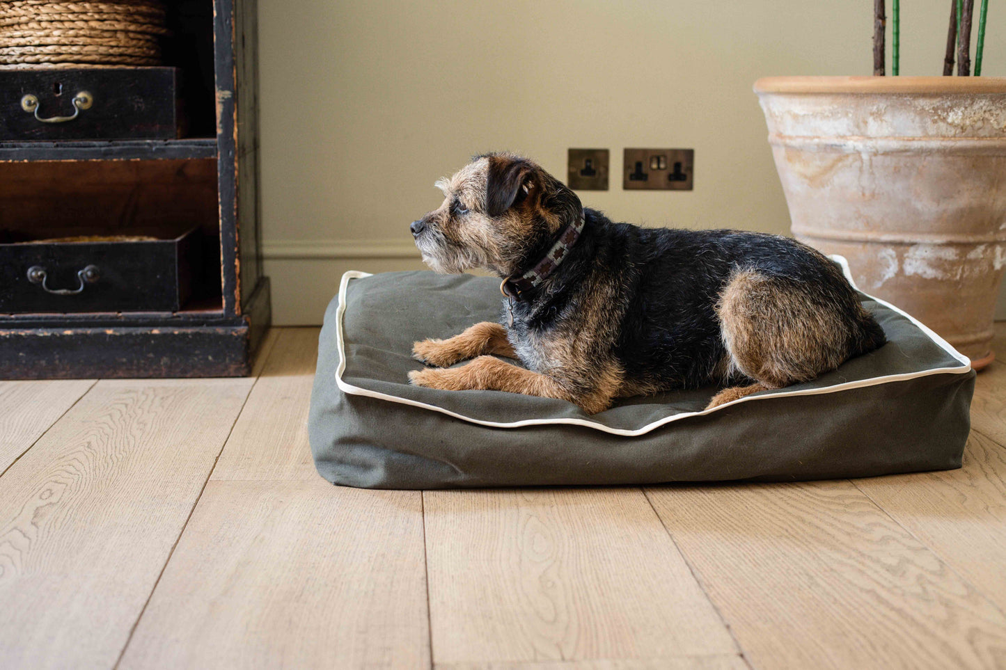 Cooper Dog Bed