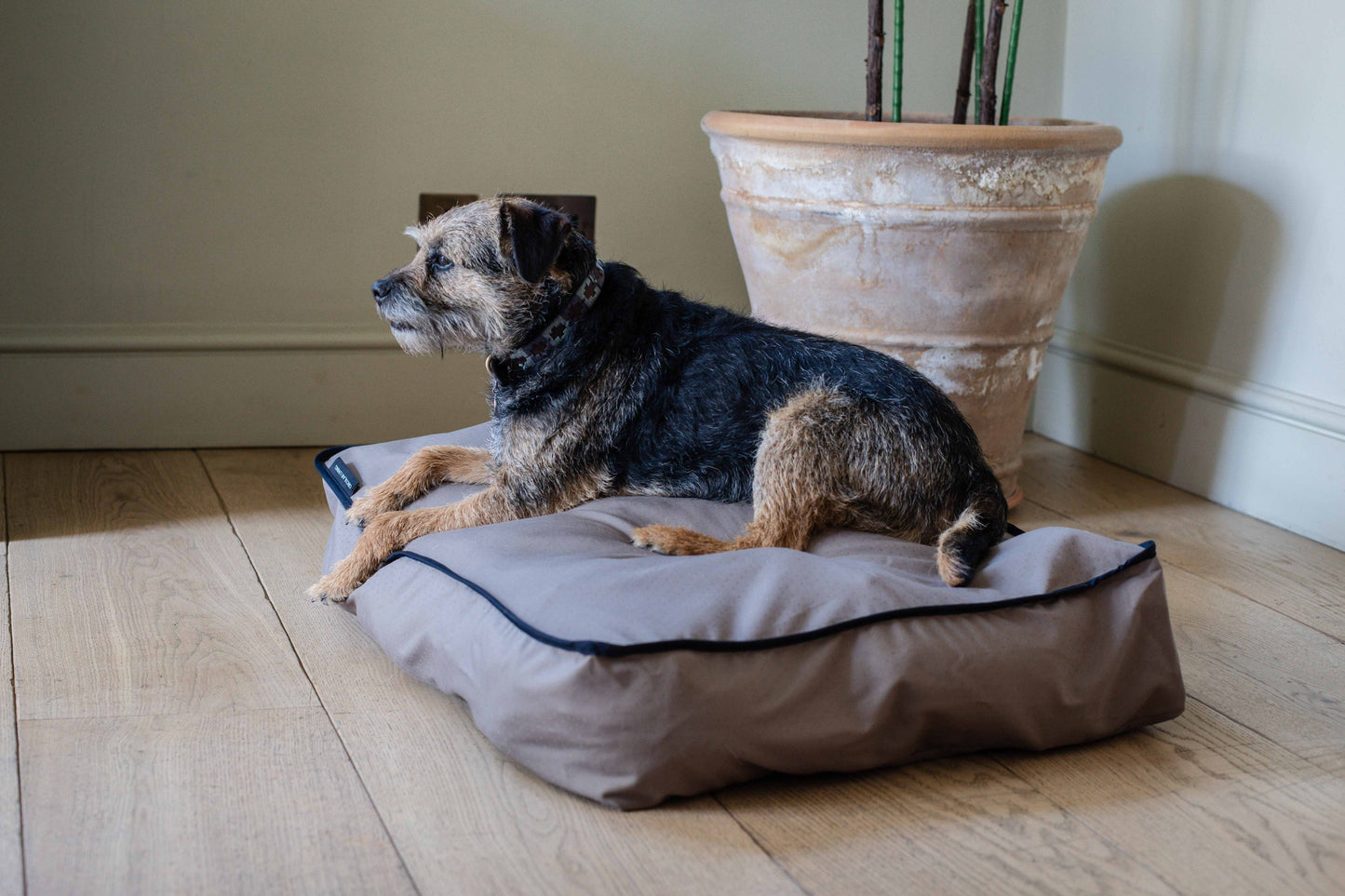 Billy Dog Bed