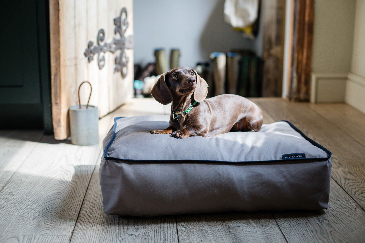 Billy Dog Bed