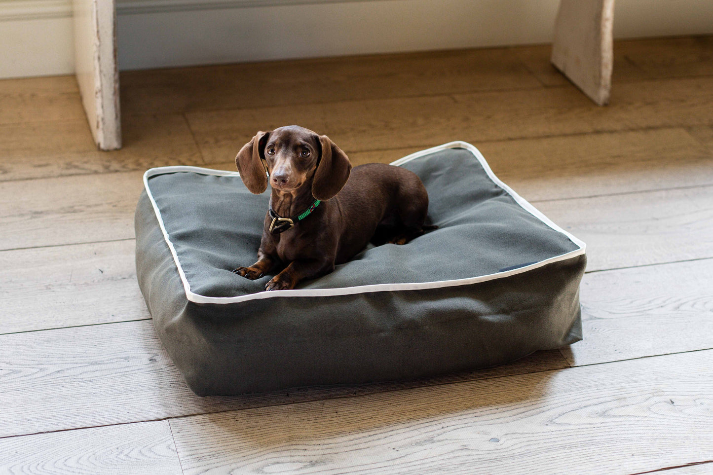 Cooper Dog Bed