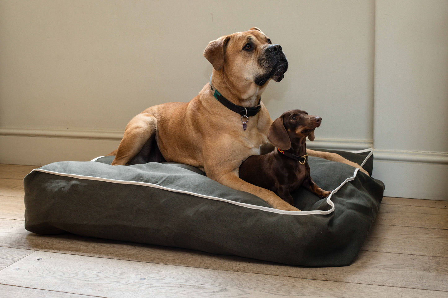 Cooper Dog Bed